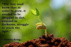 Reflections on Struggle