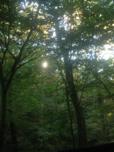 I teach Reiki and mindfulness and I’m operating on autopilot